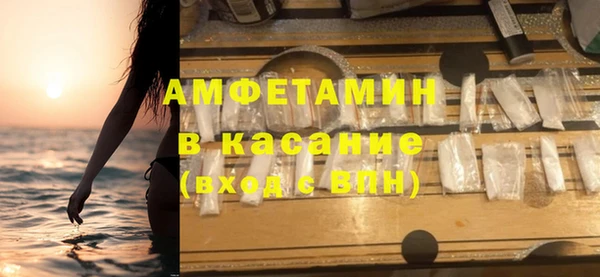 мет Алексин