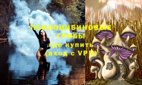 мет Алексин