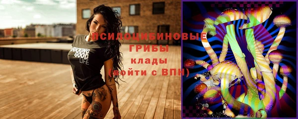 мет Алексин